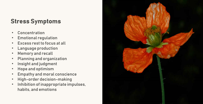 A GDC presentation detailing symptoms of stress. A GDC presentation detailing symptoms of stress.